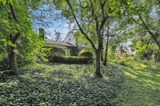 2145 Steeplechase Dr, Ann Arbor, MI 48103 - view of grassy yard
