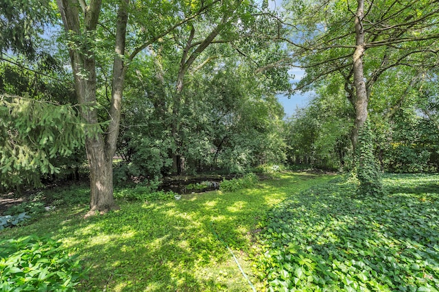 2145 Steeplechase Dr, Ann Arbor, MI 48103 - view of green lawn