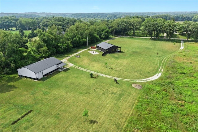 7499 Mathews Rd, Spring Arbor, MI 49283 - overview of rural landscape