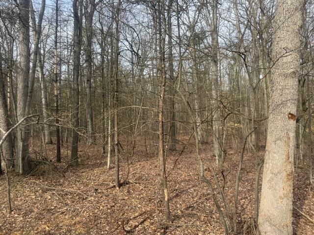 0 E Meinert Rd, Holton, MI 49425
