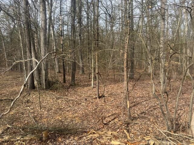 0 E Meinert Rd, Holton, MI 49425