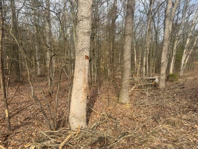 0 E Meinert Rd, Holton, MI 49425