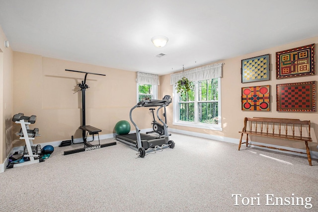 1621 Clark Ct, Greenville, MI 48838 - photo 22