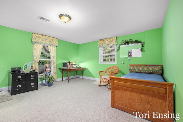 1621 Clark Ct, Greenville, MI 48838 - photo 24