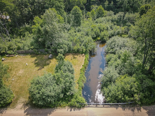 5304 N Peacock Trl, Baldwin, MI 49304 - photo 3