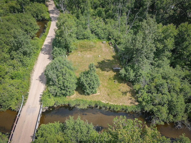 5304 N Peacock Trl, Baldwin, MI 49304 - photo 4