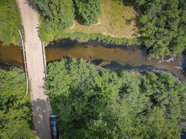 5304 N Peacock Trl, Baldwin, MI 49304 - photo 5