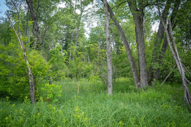 5304 N Peacock Trl, Baldwin, MI 49304 - photo 17