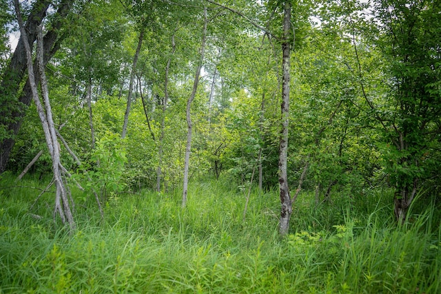 5304 N Peacock Trl, Baldwin, MI 49304 - photo 18