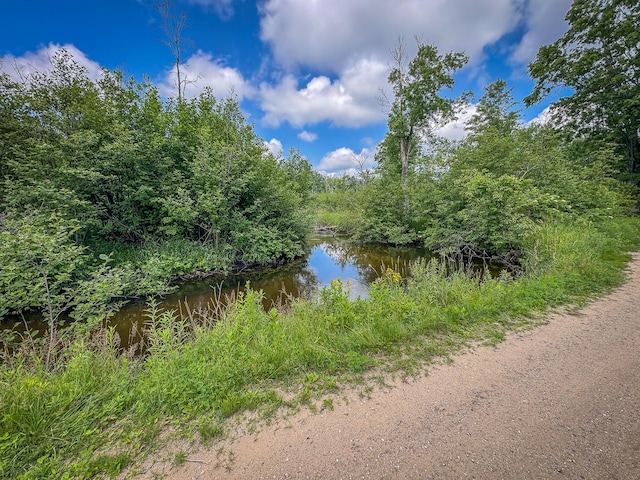 5304 N Peacock Trl, Baldwin, MI 49304 - photo 21