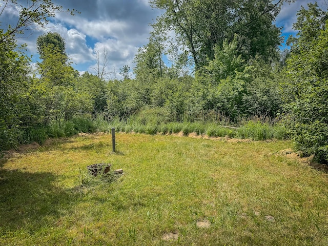5304 N Peacock Trl, Baldwin, MI 49304 - photo 11