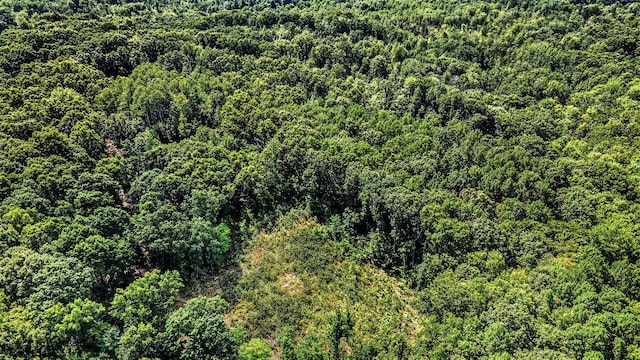 0 Wisner Ave, White Cloud, MI 49349