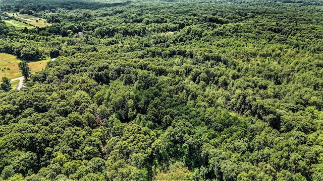 0 Wisner Ave, White Cloud, MI 49349
