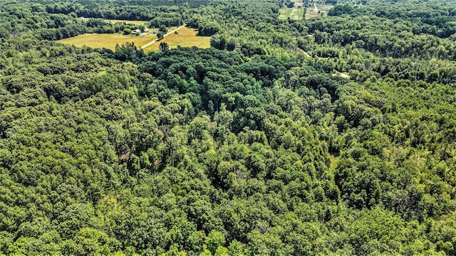0 Wisner Ave, White Cloud, MI 49349