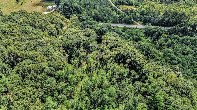 0 Wisner Ave, White Cloud, MI 49349