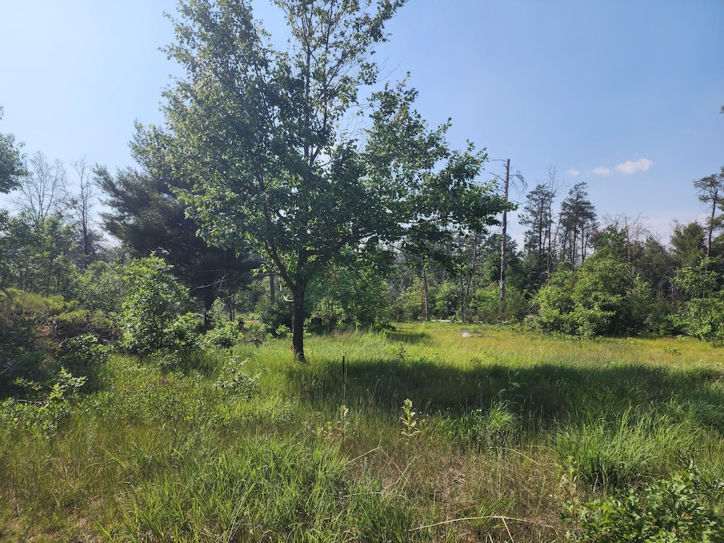 900 Stitt Ln, Mio, MI 48647