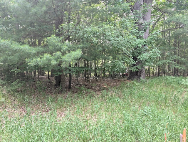 V/L Tamarack Rd, Ludington, MI 49431