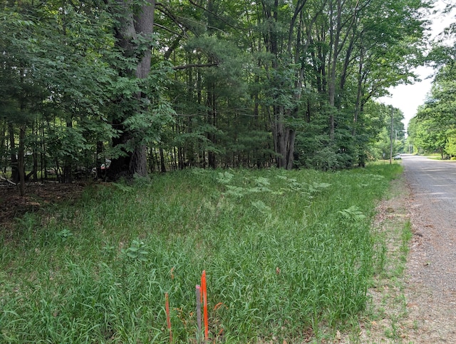 V/L Tamarack Rd, Ludington, MI 49431