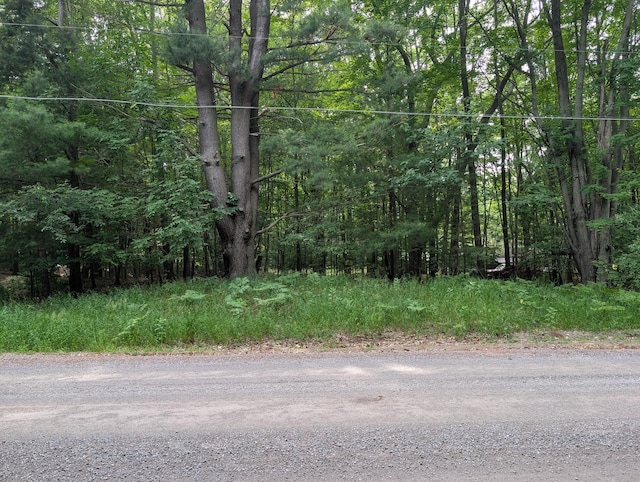 V/L Tamarack Rd, Ludington, MI 49431