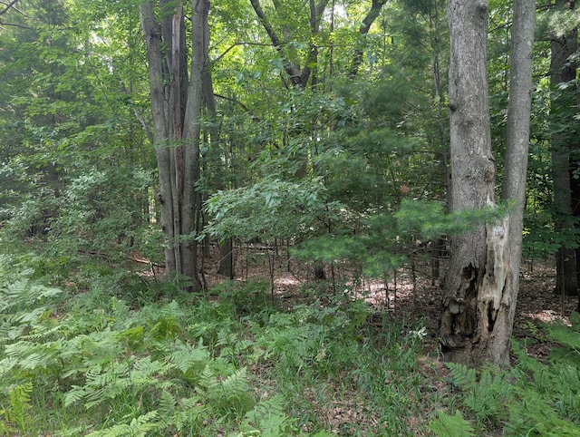 V/L Tamarack Rd, Ludington, MI 49431