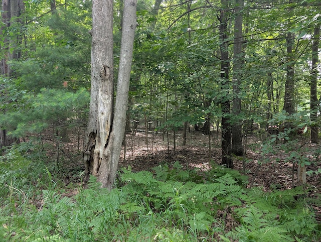 V/L Tamarack Rd, Ludington, MI 49431