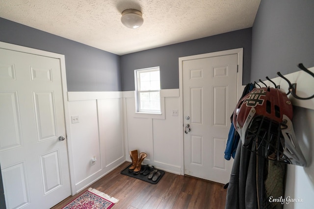 622 Cedar Square St, Holland, MI 49423 - foyer featuring a wainscoted wall, dark wood-style flooring, a textured ceiling, and a decorative wall
