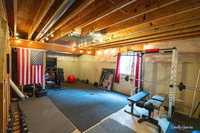 622 Cedar Square St, Holland, MI 49423 - view of exercise area