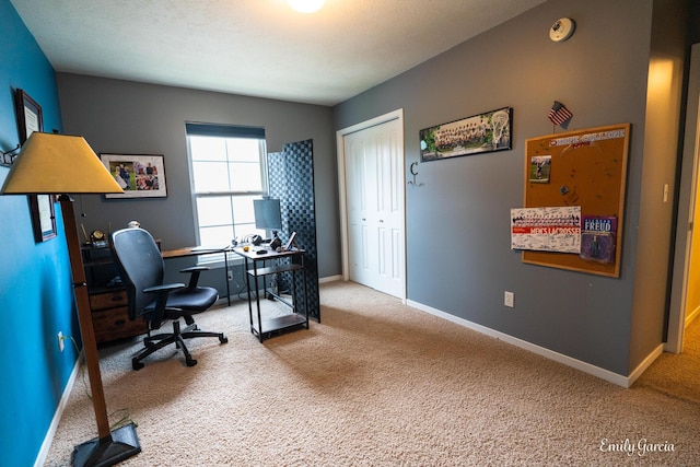622 Cedar Square St, Holland, MI 49423 - office featuring carpet floors