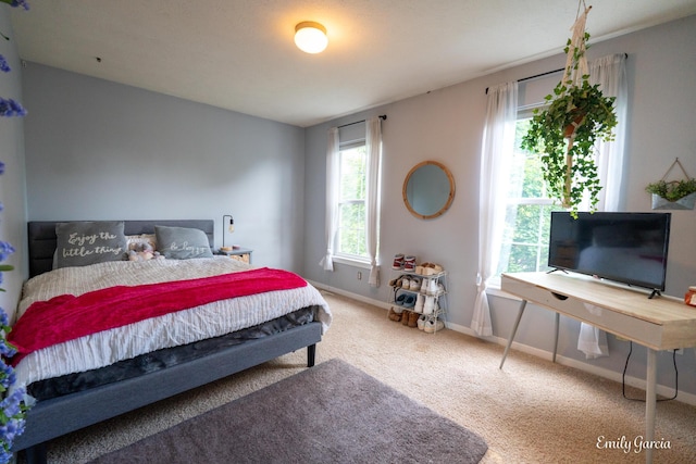 622 Cedar Square St, Holland, MI 49423 - bedroom with carpet and baseboards