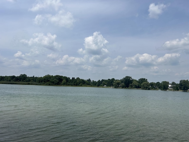 V/L S Blossom Lake Dr, Colon, MI 49040