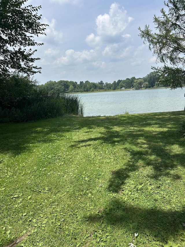 V/L S Blossom Lake Dr, Colon, MI 49040