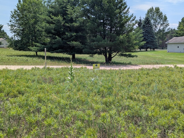 11526 S Lookout Rdg, Stanwood, MI 49346