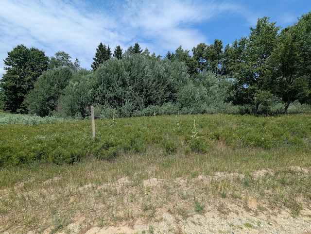 11526 S Lookout Rdg, Stanwood, MI 49346