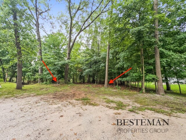 V/L Carleton St, Whitehall, MI 49461 - photo 5
