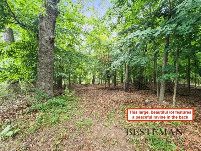 V/L Carleton St, Whitehall, MI 49461 - photo 6