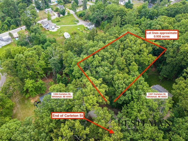 V/L Carleton St, Whitehall, MI 49461 - photo 2