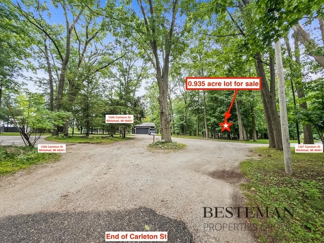 V/L Carleton St, Whitehall, MI 49461 - photo 3
