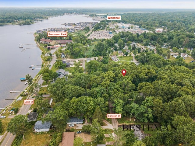 V/L Carleton St, Whitehall, MI 49461 - photo 10