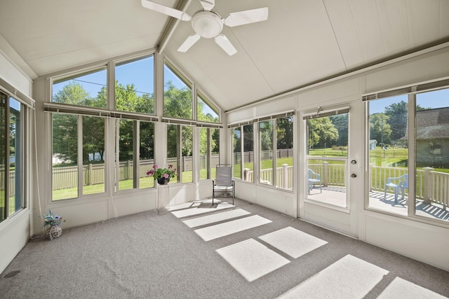 1771 N Sutton Rd, Jackson, MI 49202 - photo 12