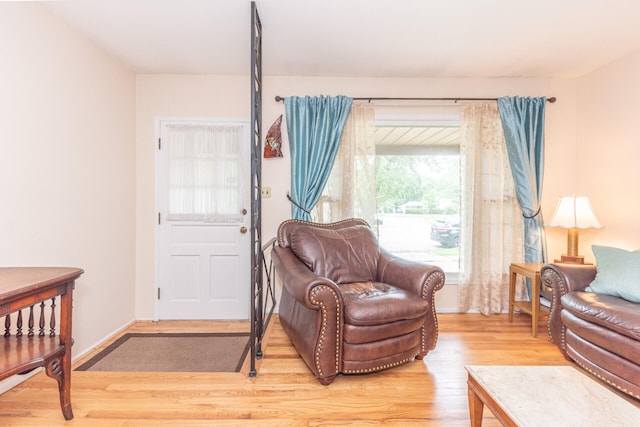 2707 Brandywine Dr, Ann Arbor, MI 48104 - living area with light wood-style floors