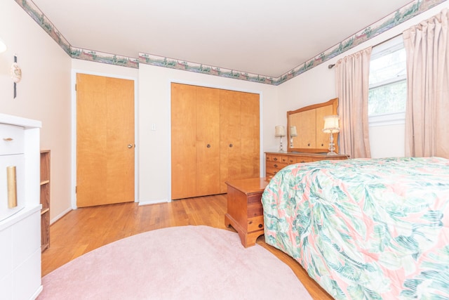 2707 Brandywine Dr, Ann Arbor, MI 48104 - bedroom with wood finished floors and a closet