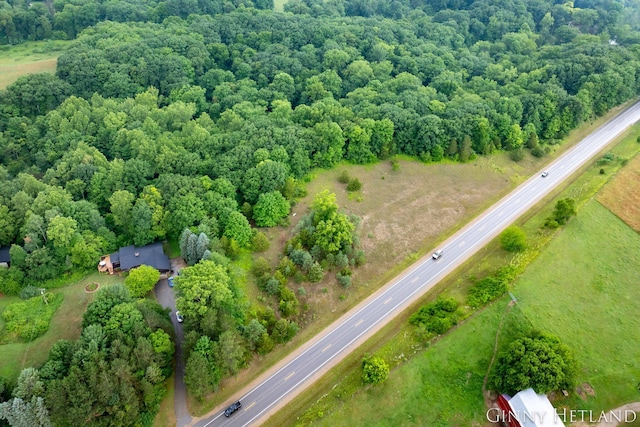 N M 37 Hwy, Middleville, MI 49333 - photo 2