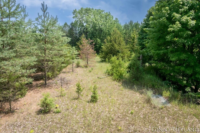 N M 37 Hwy, Middleville, MI 49333 - photo 3