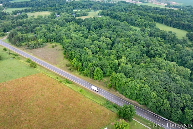 N M 37 Hwy, Middleville, MI 49333 - photo 7