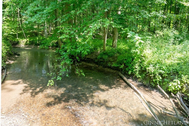 N M 37 Hwy, Middleville, MI 49333 - photo 10