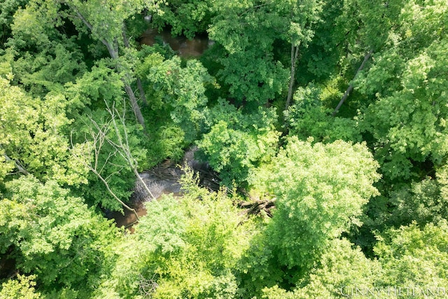 N M 37 Hwy, Middleville, MI 49333 - photo 11