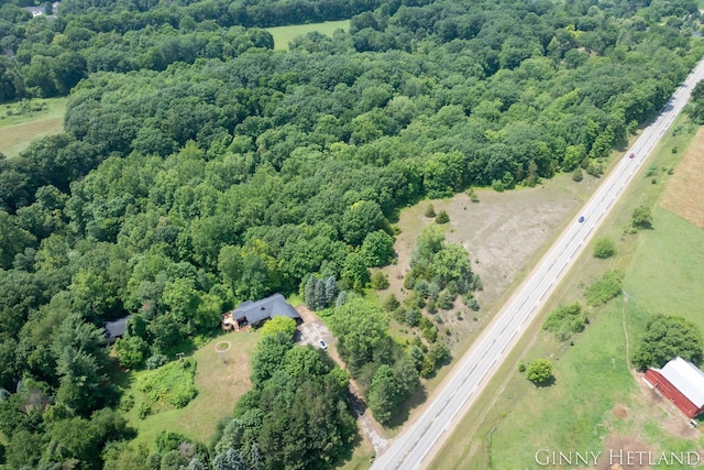 N M 37 Hwy, Middleville, MI 49333 - photo 5