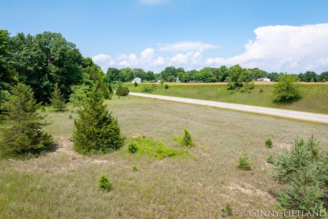 N M 37 Hwy, Middleville, MI 49333 - photo 4