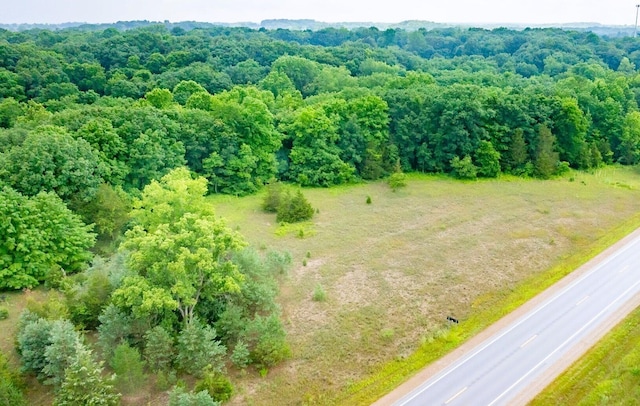 N M 37 Hwy, Middleville, MI 49333 - photo 1
