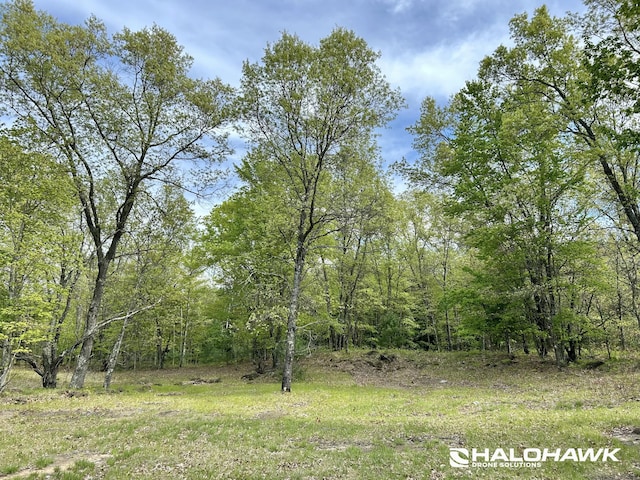 V/L S 136th Ave, Rothbury, MI 49452